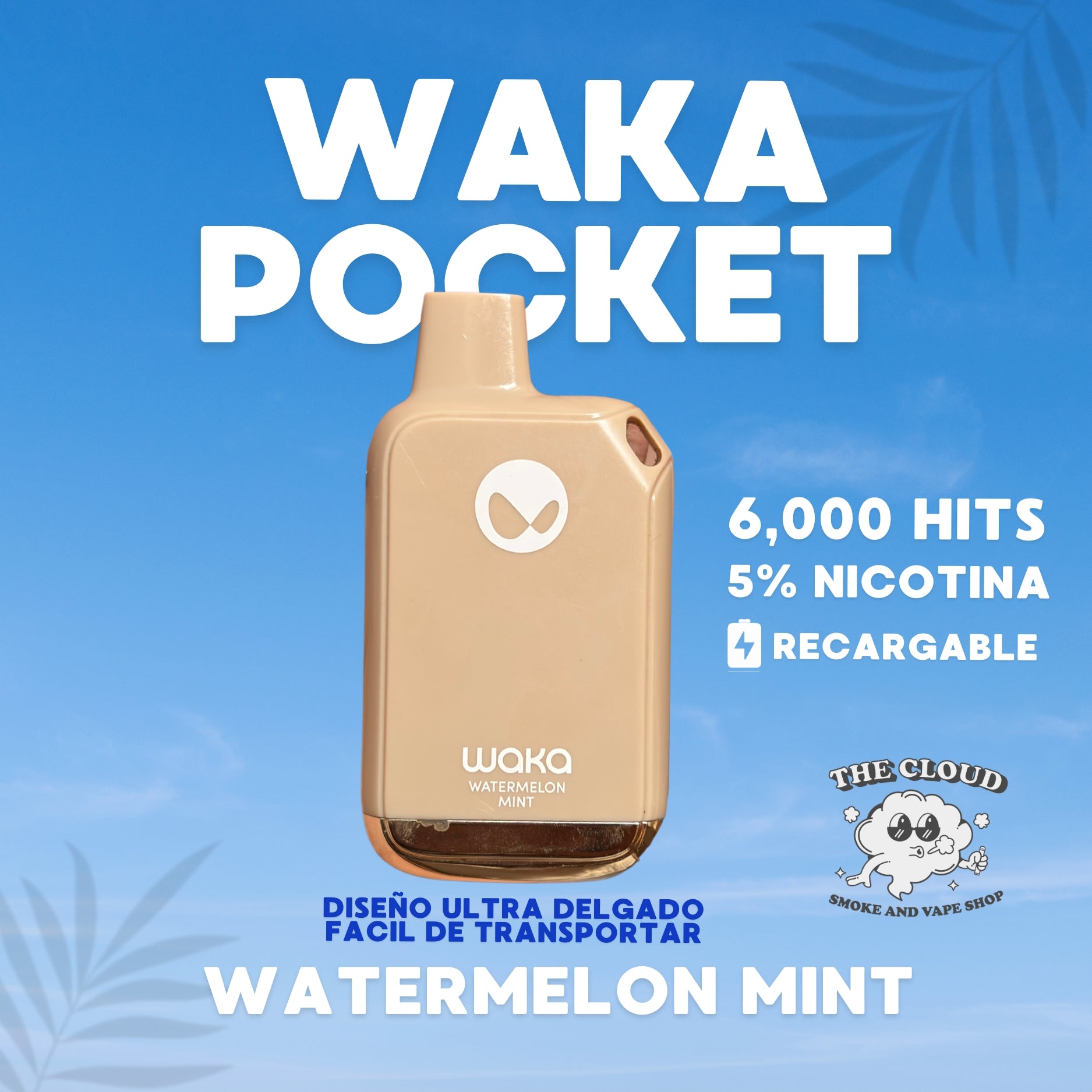 WAKA POCKET 5mil Hits