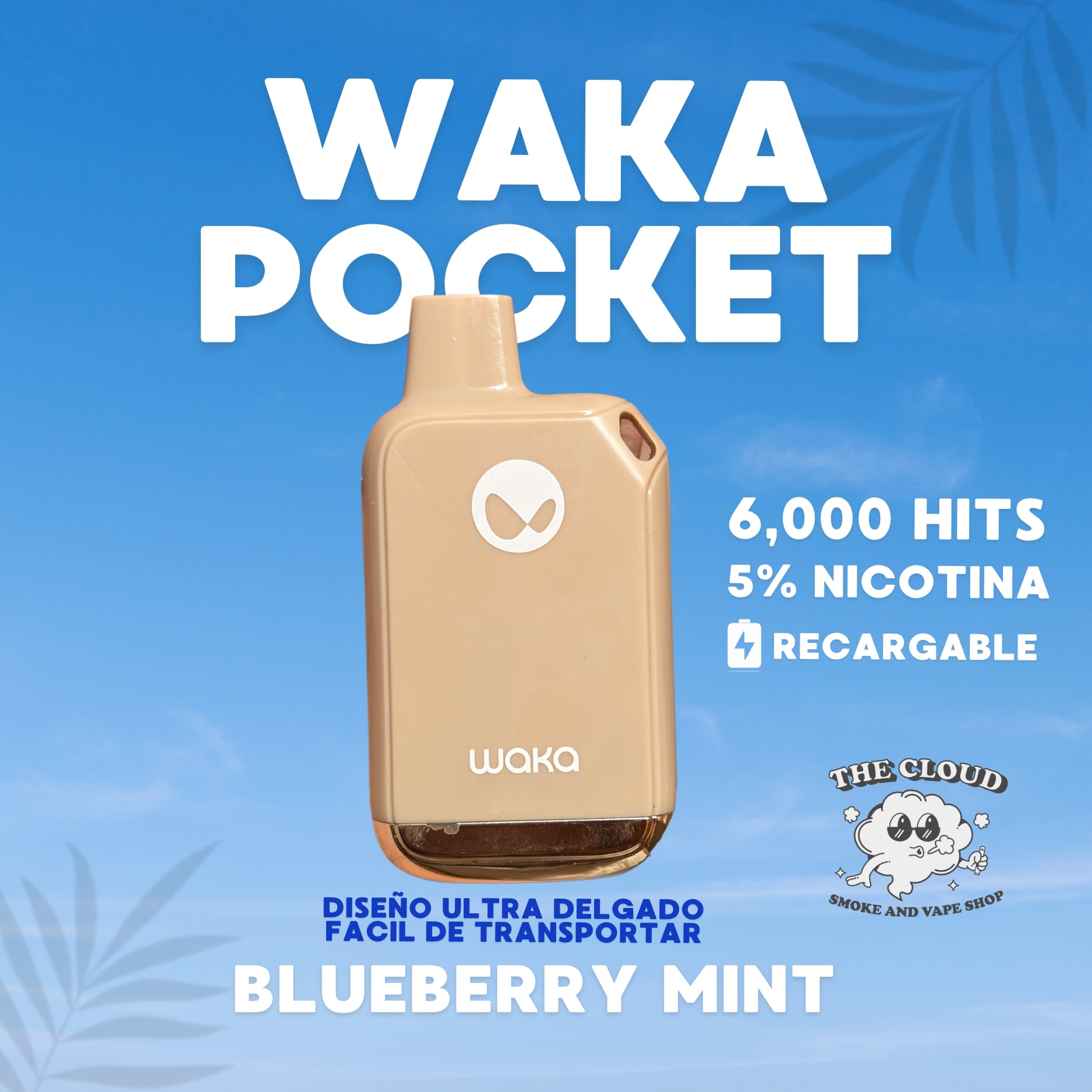 WAKA POCKET 5mil Hits